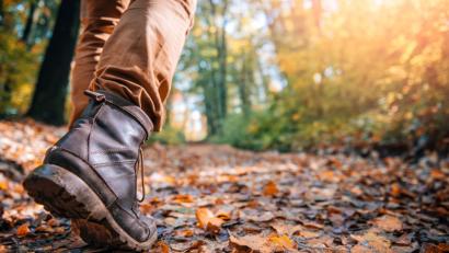 Bild: kerkezz – stock.adobe.com
Ob es nun die frische Luft, die Ruhe oder die ätherischen Düfte der Pflanzen sind. Fakt ist: Die Natur tut uns gut.