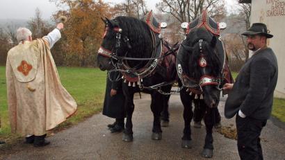 Bild: sön
Ganz brav erwarteten die beiden Kaltblüter den Segen durch Pfarrer Gottfried Schubach.