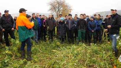 Bild: mp
Patricia Steinbauer (links) vom AELF Schwandorf begrüßte über 50 interessierte Landwirte und Auszubildende zu einer Zwischenfruchtbegehung bei Hof. Roland Schleicher (vierter von links) vom AELF Amberg und der Teamleiter vom Erzeugerring Oberpfalz, Sebastian Betz (vierter von rechts) brachten den Landwirten das Thema näher.