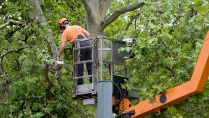 Bild: Arno Burgi/dpa
Symbolbild.