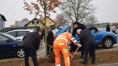 Bild: fla
Gemeinsam mit Bauhofchef Max Müller pflanzen Bürgermeister Josef Beimler, Fielmann-Niederlassungsleiter Diemo Mucke, Karsten Heßing (ALE) und Ortsplaner Rudolf Meißner (von links) symbolisch eine Winterlinde. Das Bauhofteam bringt die 89 anderen Gewächse in die Erde.