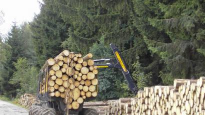 Bild: dob
Der europäische Holzmarkt ist mit Rundholz überschwemmt. Das merken auch die Waldbesitzer in der Region. Die Bayerischen Staatsforsten haben bereits einen Einschlagstopp verhängt.