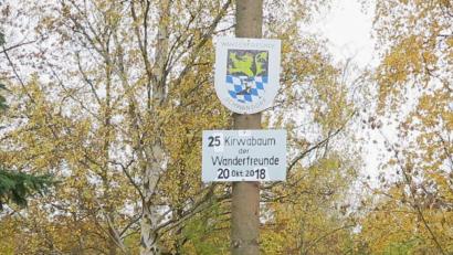 Bild: Hirsch
Die Vorsitzenden Hans Müller (rechts) und Alois Buchmann (links) sind stolz auf die Tradition der Wanderfreunde. Dazu gehört auch das jährliche Aufstellen des Kirwabaums im Garten des Vereinsheims.