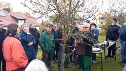 Bild: rn
Robert Herl steht unter genauer Beobachtung: Die Gartenfreunde der evangelischen Kirchengemeinde verfolgen beim Obstbaumschnittkurs exakt seine Erläuterungen und praktischen Demonstrationen.