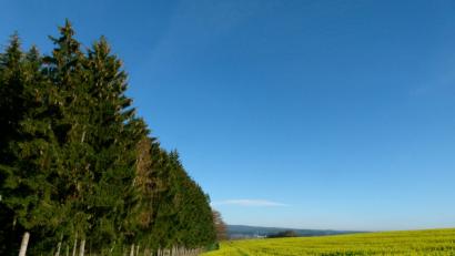 Bild: rn
Herbst oder Frühling?