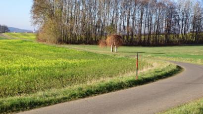 Bild: bkr
Die Gemeindeverbindungsstraße von Zinst nach Kulmain soll im kommenden Jahr ausgebaut werden. Dabei erhalten die Kurven größere Radien.