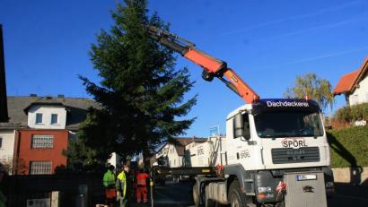Bild: wro
Bis vor wenigen Stunden zierte der künftige Christbaum als normale Fichte die Ludwigshöhe, der nun als Christbaum den Ort zieren wird. Vorne im Bild: Alfons Höcht vom „Tannenhof“, der der Marktgemeinde den Baum gestiftet hat.