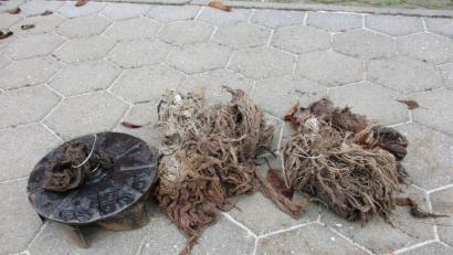 Bild: hou
Feststoffe von textiler Art gelangen in die Kläranlage, verbinden sich dort zu bizarren Klumpen und drehen die Welle einer Pumpe ab. Ein solches Gerät kostet 6000 Euro. Es muss jetzt wieder aus Haushaltsgeldern der Gemeinde finanziert werden.