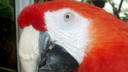 Bild: dpa
Symbolbild.