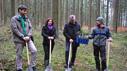 Bild: Andreas Royer
Für einen klimastabilen Umbau des Bürgerspitalwaldes mit Tannen setzen sich (von links) Simon Tangerding, Schutzgemeinschaft Deutscher Wald, Sabine Seberak, Leiterin Sparda-Bank Amberg, Bürgermeister Michael Göth und Förster Bernhard Raschka ein.