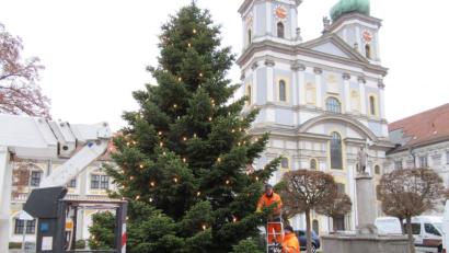 Bild: kgg
Die Bauhof-Mitarbeiter Gerhard Burger und Hubert Thoma beim Montieren der Christbaumbeleuchtung.