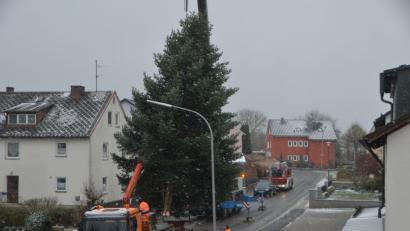 Bild: dob
Mit Hilfe des Kranwagens der Firma Rank aus Weiden schwebt die stattliche Tanne aus dem Gartengrundstück von Sonja Spiller auf den städtischen LKW und wird vor das Rathaus transportiert. Dort erfreut der Baum die Herzen in der Advents- und Vorweihnachtszeit.