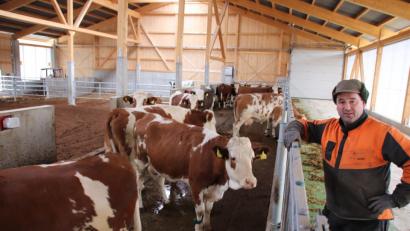 Bild: Dobler
Johann Dirschwigl betreibt in Oberkatzbach (Gemeinde Guteneck) einen sogenannten Kompoststall und befindet sich damit ganz weit vorne, was moderne und Gewässer schonende Kuhhaltung anbelangt. Davon konnten sich die Teilnehmer am Milchviehtag überzeugen.