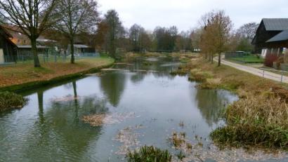 Bild: rn
Längst überfällig ist nach Ansicht des Sportanglervereins das Ausbaggern der Creußen in Tremmersdorf. Der Bachlauf gleicht dort einem verlandenden Dorfweiher. Vorsitzender Martin Schusser kritisiert in der Herbstversammlung einmal mehr die Passivität des Wasserwirtschaftsamts.