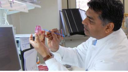 Bild: Klinikum/Gräß
Prof. Dr. Hamid Hossain, Chefarzt der Mikrobiologie am Klinikum St. Marien Amberg und dem Klinikum Weiden