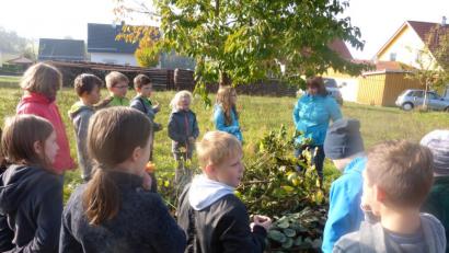 Bild: exb
Rund um das Thema "Äpfel" ging es beim Unterrichtsgang der 4. Klasse