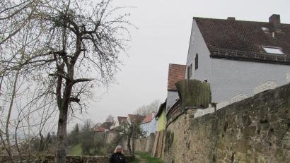 Bild: bl
In mächtige Mauern und so manches Kleinod soll auch in Zukunft viel Geld fließen. Eine Million Euro hat die Stadt bereits in die Stadtmauer gesteckt, in den kommenden Jahren soll der komplette Ring um die Altstadt saniert werden.