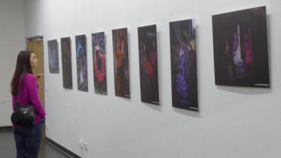 Bild: fsb
Lea Koos bewundert die bunten Bilder, die Fotograf Peter Klein ausstellt.