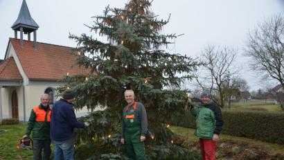 Bild: dob
Wenn die Männer aus Obertresenfeld anrücken, wird jeder Baum zu einer Besonderheit. Sie helfen tatkräftig zusammen und warten nicht, bis der Bauhoftrupp vorbeikommt und Hand anlegt, wie es in anderen Orten der Großgemeinde alljährlich der Fall ist. In Obertresenfeld gilt: "Selbst ist der Mann und der packt an."