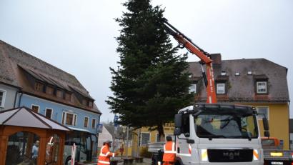 Bild: gi
Der Weihnachtsbaum am Marktplatz wird in der ganzen Advents- und der Weihnachtszeit neben der Brunnenkrippe leuchten.