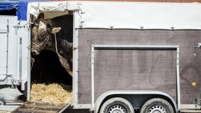 Bild: Alexandra Wey/KEYSTONE/dpa
Symbolbild.