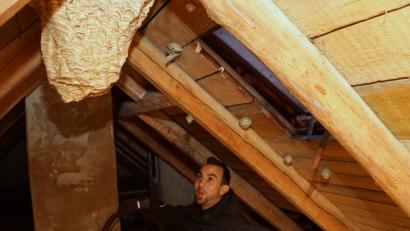 Bild: bkr
Kaminkehrer Jörg Böhm entdeckt bei seiner Arbeit immer wieder Hornissennester.