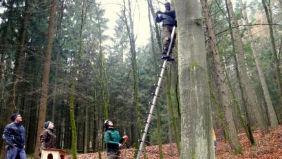 Bild: exb
Der Verein für Landschaftspflege und Artenschutz (VLAB) installiert gemeinsam mit acht Mitgliedern der LBV-Ortsgruppe Trabitz Brutkästen für den Habichtskauz in den Mischwäldern rund um Friedenfels.