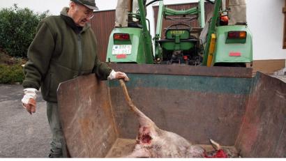 Bild: sön
Jagdpächter Josef Müller mit dem von einem Hund gerissenen Reh.