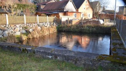 Bild: fz
Ausbessern, sanieren, Neubau? Der Löschteich in Döllnitz. Ein idyllischer Dorfweiher.