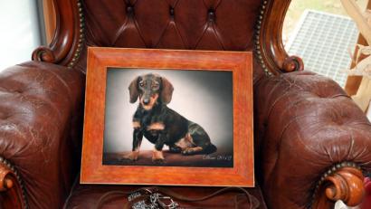 Bild: Gerhard Götz
Seit Samstag wird Kurzhaardackel Dina vermisst. Freiherr von Bourscheidt aus Wolfring (Landkreis Schwandorf) hofft, dass sein Hund wieder auftaucht.