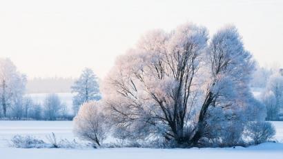 Bild: Johannes Kreiner
Winter in der Oberpfalz.