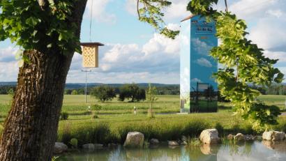 Bild: exb
Der Dorfweiher in Oberhof (Gemeinde Ursensollen) war verlandet und versumpft. Mit der Dorferneuerung ist er renaturiert worden. "Das ist ein reines Biotop", sagt Bürgermeister Franz Mädler.