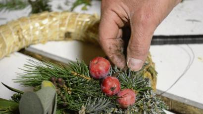 Bild: Gabi Schönberger
Für einen Adventskranz braucht man einen Rohling, zum Beispiel aus Stroh, und Bindedraht. Rote Beeren oder Salbeiblätter sprechen die Sinne an. Zweige von Thujen, Eiben oder Tanne werden dann an den Kreis gelegt und mit dem Bindedraht immer zwei mal fest gebunden.