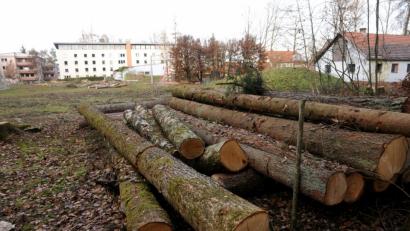 Bild: ge
Aus Sicherheitsgründen mussten einige Bäume im Süden des Areals gefällt werden – sie waren teilweise nicht mehr standsicher. Hier werden ab dem Frühjahr die neuen Gebäude und Parkplätze entstehen.
