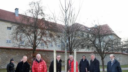 Bild: Wolfgang Steinbacher
Die Mitglieder des Umweltausschusses trafen sich zu Beginn ihrer Sitzung im Stadtgraben. Dort stellten sie den Baum des Jahres, die Ess-Kastanie, vor, der frisch gepflanzt wurde.