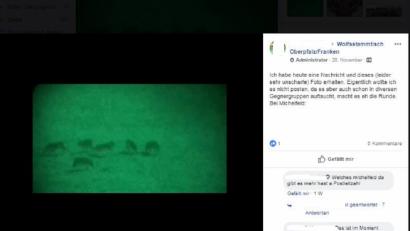 Bild: Facebook/Wolfstammtisch Oberpfalz/Franken
Ein Screenshot aus dem Internet. Dieses Bild befeuert die Spekulationen, es könnten mehr Wölfe im Veldensteiner Forst.
