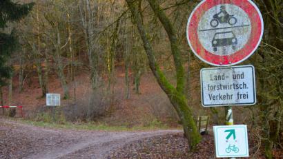 Bild: bö
20 000 Euro hat man im vergangenen Jahrzehnt in den Radweg im Lauterachtal investiert, doch sein Zustand ist derzeit nicht der beste. Der Radwegeausbau von Schmidmühlen bis zur Gemeindegrenze von Hohenburg soll im nächsten Jahr forciert werden.