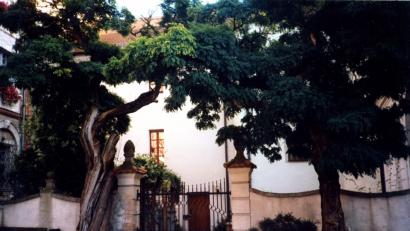 Bild: krb
Noch um die Jahrtausendwende standen die beiden knorrigen Bäume am Eingang des Hofes zwischen Altem und neuem Schloss.