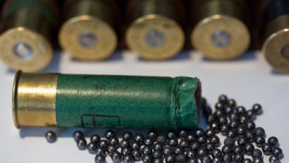 Bild: Patrick Pleul dpa/lbn
Kurz nachdem der Hundehalter drei Schüsse hörte, kam das Tier zurück und hatte Schrotkugeln in seinem Körper.