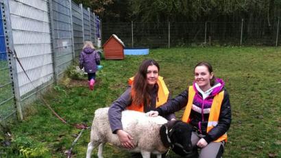Bild: Ingrid Mallmann
Die Tierheim-Mitarbeiterinnen Jenny und Meli mit dem schließlich doch noch eingefangenen Schaf Sally.