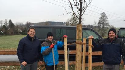 Bild: exb
Trotz schlechten Wetters pflanzen die Helfer auf dem Spielplatz eine Winterlinde: Von links: zweiter Bürgermeister Oliver Mutterer, Fraktionssprecher Heinz Kett sowie Jugendbeauftragter Wolfgang Bock.