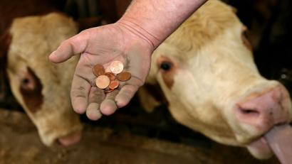 Bild: Gerhard Götz
Mit einer EU-Novelle sollen die Milchpreise fairer gestaltet werden.