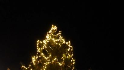 Bild: jow
Der prachtvolle Christbaum auf dem Dorfplatz in Lintach mit der neuen LED Lichterkette.