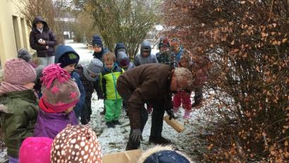 Bild: u
Im Marien-Kindergarten/Haus des Kindes drehte sich einige Tage alles um den Igel. Dem Vorsitzenden des Obst- und Gartenbauvereins Roland Maier (vorne) ist es zu verdanken, dass in der KiTa-Außenanlage ein Igelhaus steht. Mit den Kindern versteckte er es unter einem Strauch. Nun hoffen alle, dass tatsächlich ein Igel einzieht und darin seinen Winterschlaf hält.