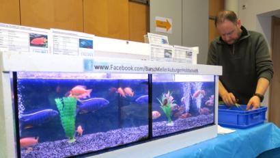 Bild: Hirsch
Fischbörse