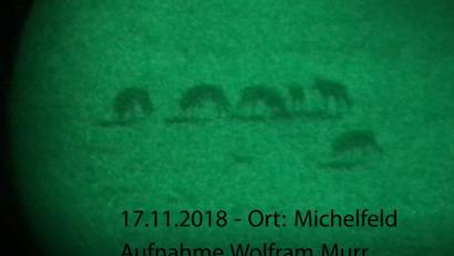 Bild: Wolfram Murr
Ein Screenshot aus dem Video von Wolfram Murr