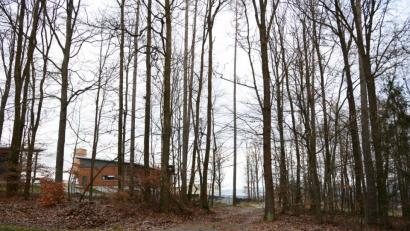 Bild: bey
Auf dem Grundstück unterhalb des gemeindlichen Bauhofes (im Hintergrund zwischen den Bäumen) soll der Wertstoffhof errichtet werden. Die bisherige einfache Waldzufahrt (im Vordergrund, Mitte) soll dafür ausgebaut werden. Das Staatliche Bauamt hat dafür die Zustimmung signalisiert.