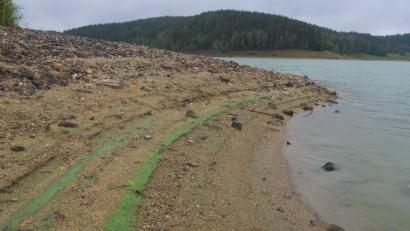 Bild: bl
Blaualgen sind - anders als der Name sagt - grüne schlierenartige Gebilde im Wasser, die in großer Konzentration giftig sind. Hier haben sie in diesem Sommer Spuren am Ufer des Eixendorfer Stausees hinterlassen.