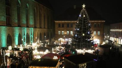Bild: Wolfgang Steinbacher
Der Christbaum auf dem Amberger Marktplatz soll am Sonntag, 30. Dezember, für einen guten Zweck versteigert werden.