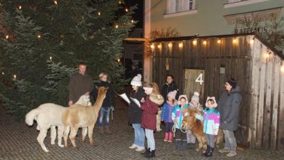 Bild: mmj
Alpakas, Pony und Hund beeindruckten beim gespielten Adventkalender vor der rustikalen Kulisse beim Christbaum am Rathaus.